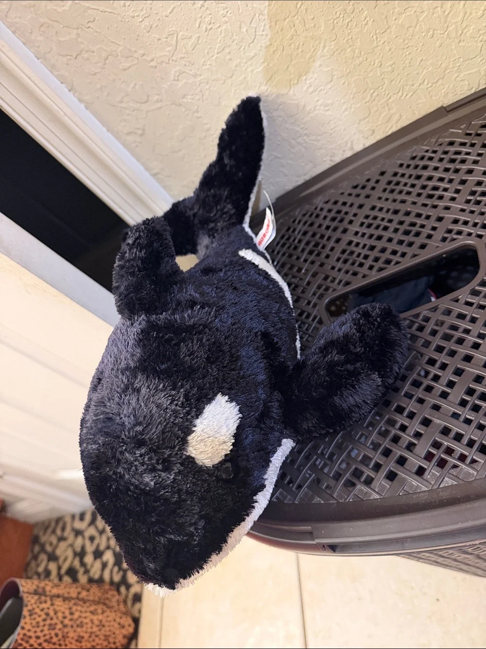 Plush Orca Pet Toy - Black and White